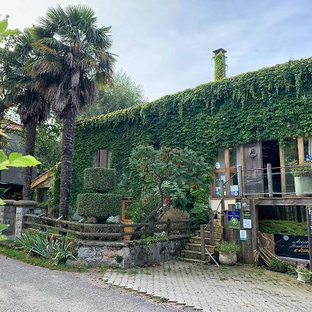 Bed and Breakfast Haras Picard Du Sant Lasserre  Esterno foto