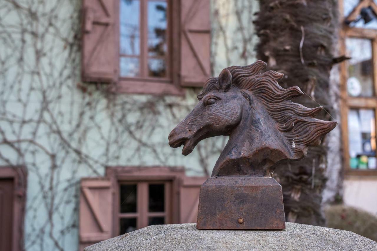 Bed and Breakfast Haras Picard Du Sant Lasserre  Esterno foto