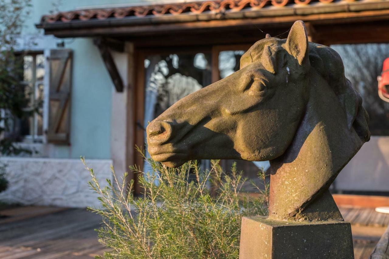 Bed and Breakfast Haras Picard Du Sant Lasserre  Esterno foto